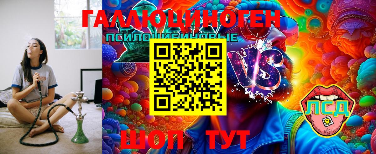 Псилоцибиновые грибы Psilocybine cubensis Кемерово