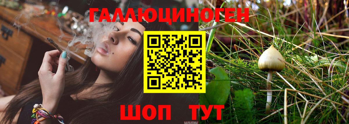 Кемерово  Галлюциногенные грибы мухоморы  Вход с VPN 
